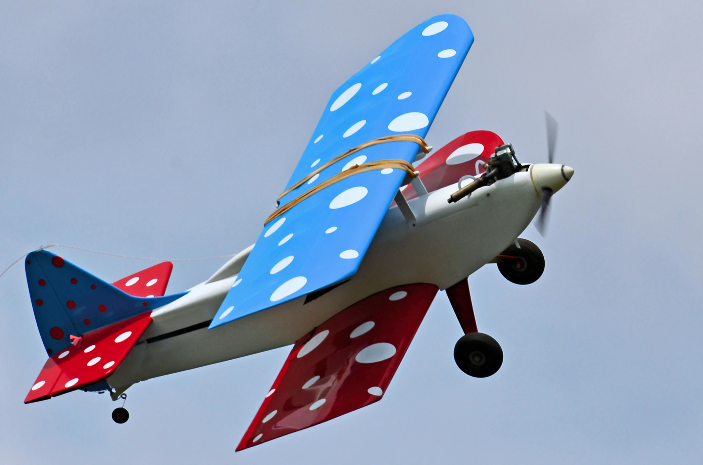 DSC 1361A