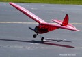 P8229376