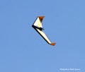 P8229723