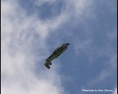 WBOI 2009 032
